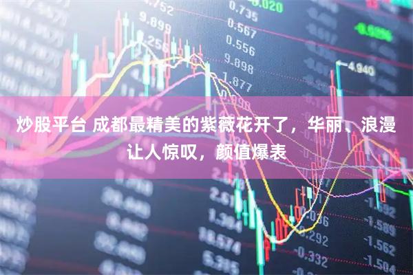 炒股平台 成都最精美的紫薇花开了，华丽、浪漫让人惊叹，颜值爆表